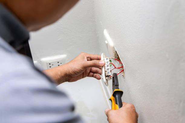 Best Electric Panel Repair  in Hugo, OK